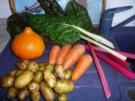 Eintopf: Mangold - Karotten - Kürbistopf - Rezept