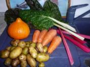 Eintopf: Mangold - Karotten - Kürbistopf - Rezept