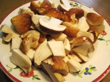 Steinpilz-Ragout ... - Rezept - Bild Nr. 5