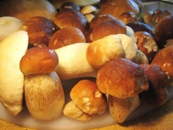 Steinpilz-Ragout ... - Rezept - Bild Nr. 2