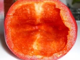 Rezept: Ocean basket Bild Nr. 9 Ocean basket - Rezept - Bild Nr. 9