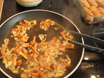 Rezept: "Hauptgericht" Puten-Pfifferling-Auflauf Bild Nr. 4 "Hauptgericht" Puten-Pfifferling-Auflauf - Rezept - Bild Nr. 4