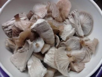 Rezept: Feines Waldpilz-Gemüse Bild Nr. 3 Feines Waldpilz-Gemüse - Rezept - Bild Nr. 3