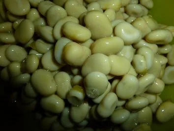 Rezept: Schweineschnitzel mit Stampfkartoffeln an dicken Böhnchen in Rahm Bild Nr. 3 Schweineschnitzel mit Stampfkartoffeln an dicken Böhnchen in Rahm - Rezept - Bild Nr. 3