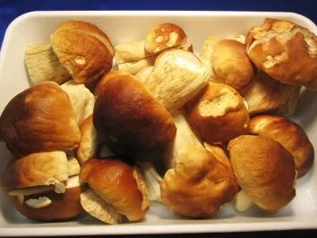 Steinpilze - für die Zeit, wenn keine mehr wachsen ... - Rezept - Bild Nr. 2