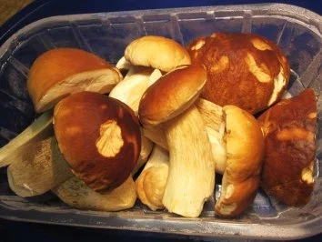 Steinpilze - für die Zeit, wenn keine mehr wachsen ... - Rezept - Bild Nr. 3