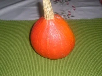 Kürbisschaumsuppe - Rezept - Bild Nr. 2