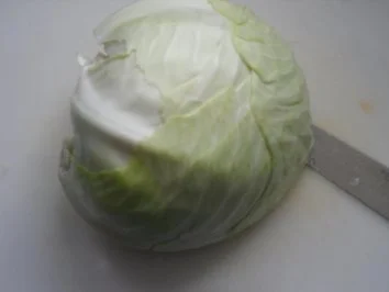 Rezept: Bayrisch Kraut Bild Nr. 2 Bayrisch Kraut - Rezept - Bild Nr. 2