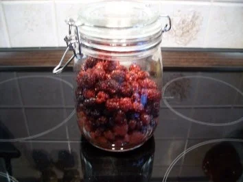 Likör: Heidelbeere - Rezept - Bild Nr. 2