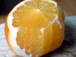 Orangencreme - Rezept - Bild Nr. 2