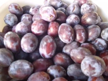 Rezept: Zwetschgengellee / oder Saft für den Winter Bild Nr. 2 Zwetschgengellee / oder Saft für den Winter - Rezept - Bild Nr. 2