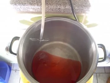 Rezept: Zwetschgengellee / oder Saft für den Winter Bild Nr. 4 Zwetschgengellee / oder Saft für den Winter - Rezept - Bild Nr. 4