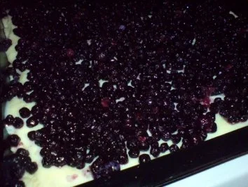 Rezept: Blaubeerkuchen Bild Nr. 10 Blaubeerkuchen - Rezept - Bild Nr. 10