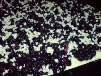 Rezept: Blaubeerkuchen Bild Nr. 11 Blaubeerkuchen - Rezept - Bild Nr. 11