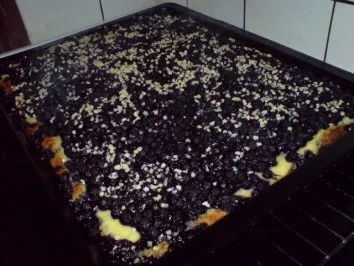 Rezept: Blaubeerkuchen Bild Nr. 12 Blaubeerkuchen - Rezept - Bild Nr. 12