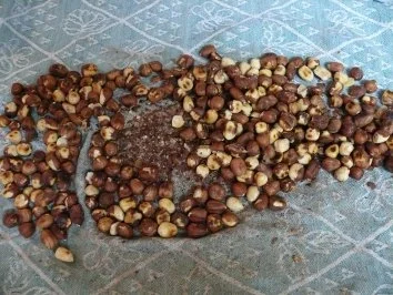 Rezept: Nussknacker Bild Nr. 3 Nussknacker - Rezept - Bild Nr. 3