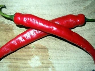 Feuriges Hähnchenragout - Rezept - Bild Nr. 2