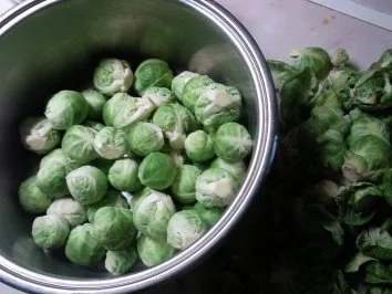 Rosenkohl überbacken - Rezept - Bild Nr. 2