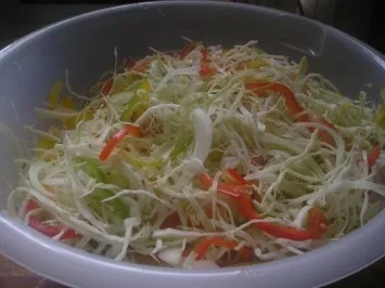 Eingelegtes Pusztakraut - Rezept - Bild Nr. 3