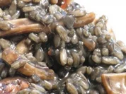 Schwarzes Tintenfischrisotto - Rezept