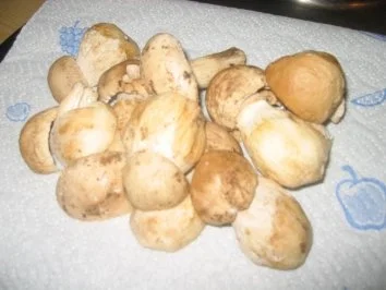 Vegetarisch: Steinpilz Pasta - Rezept - Bild Nr. 6