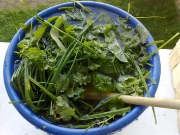 Rezept: Kräuter-Speziale Bild Nr. 3 Kräuter-Speziale - Rezept - Bild Nr. 3