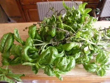 Basilikumpesto - Rezept