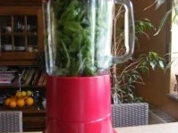 Basilikumpesto - Rezept - Bild Nr. 2