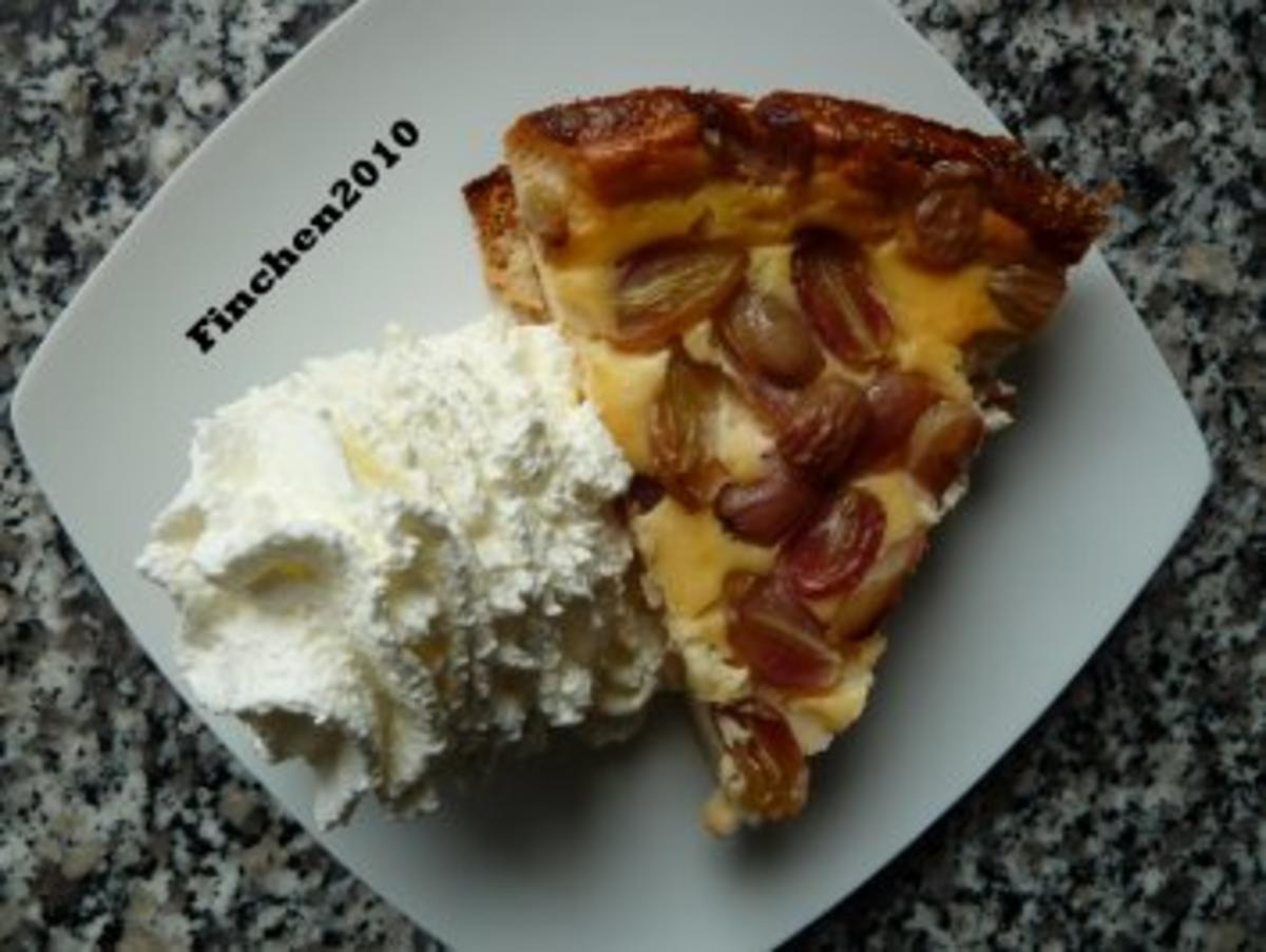 Ricotta - Trauben - Kuchen - Rezept