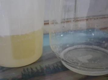 Kalte Ente - Rezept - Bild Nr. 3