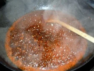 Hähnchenbrust unter Käse-Kräuterdecke auf scharfem Tomatenbett - Rezept - Bild Nr. 5