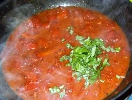 Hähnchenbrust unter Käse-Kräuterdecke auf scharfem Tomatenbett - Rezept - Bild Nr. 7