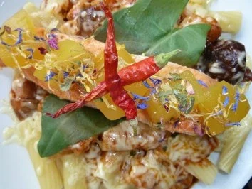 Rezept: Pasta an Pilzsauce mit Manchego und Limettenlachs Bild Nr. 2 Pasta an Pilzsauce mit Manchego und Limettenlachs - Rezept - Bild Nr. 2