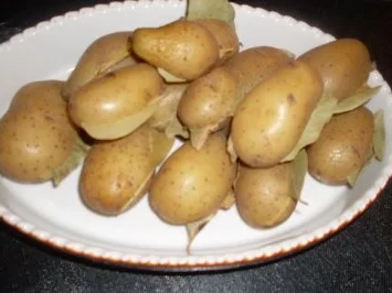 Scharfe Austernpilze auf Schweinefilets ... - Rezept - Bild Nr. 3