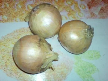 Kaninchenbraten - Rezept - Bild Nr. 8