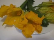 Frittata con fiori di zucchine - Rezept