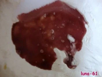 SCHIACCIATA ALL'UVA - Toskanische Weintraubentorte - Rezept - Bild Nr. 5