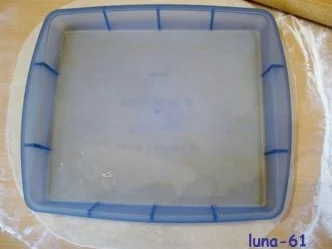 SCHIACCIATA ALL'UVA - Toskanische Weintraubentorte - Rezept - Bild Nr. 9