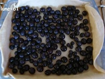 SCHIACCIATA ALL'UVA - Toskanische Weintraubentorte - Rezept - Bild Nr. 10