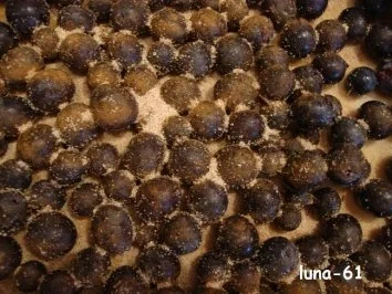 SCHIACCIATA ALL'UVA - Toskanische Weintraubentorte - Rezept - Bild Nr. 11