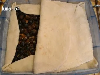 SCHIACCIATA ALL'UVA - Toskanische Weintraubentorte - Rezept - Bild Nr. 13