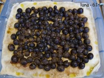 SCHIACCIATA ALL'UVA - Toskanische Weintraubentorte - Rezept - Bild Nr. 15