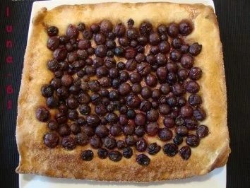 SCHIACCIATA ALL'UVA - Toskanische Weintraubentorte - Rezept - Bild Nr. 16