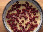 Obstkuchen mit Pudding-Quark-Decke - Rezept