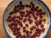 Obstkuchen mit Pudding-Quark-Decke - Rezept