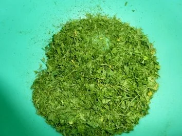 Rezept: Vorrat: Petersilie für den Winter Bild Nr. 5 Vorrat: Petersilie für den Winter - Rezept - Bild Nr. 5