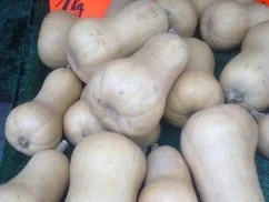 Rezept: Butternuss-Kürbissuppe mit Äpfeln Bild Nr. 2 Butternuss-Kürbissuppe mit Äpfeln - Rezept - Bild Nr. 2