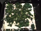 Spinat Lasagne mit Frischkäse - Rezept