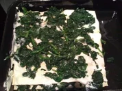 Spinat Lasagne mit Frischkäse - Rezept