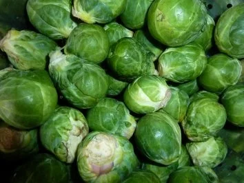 Kasslernacken im Orangen-Honigmantel mit rahmigem Rosenkohl an Salzkartoffeln - Rezept - Bild Nr. 6